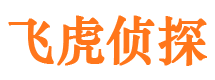 南川侦探